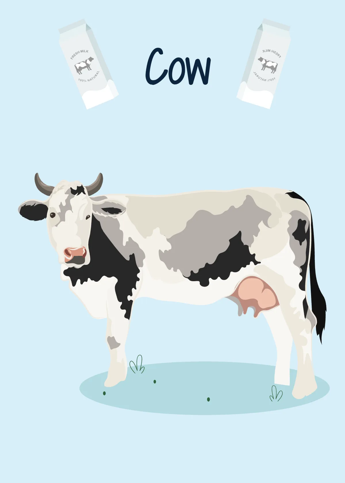 Free Animal Flashcards Template to Edit Online