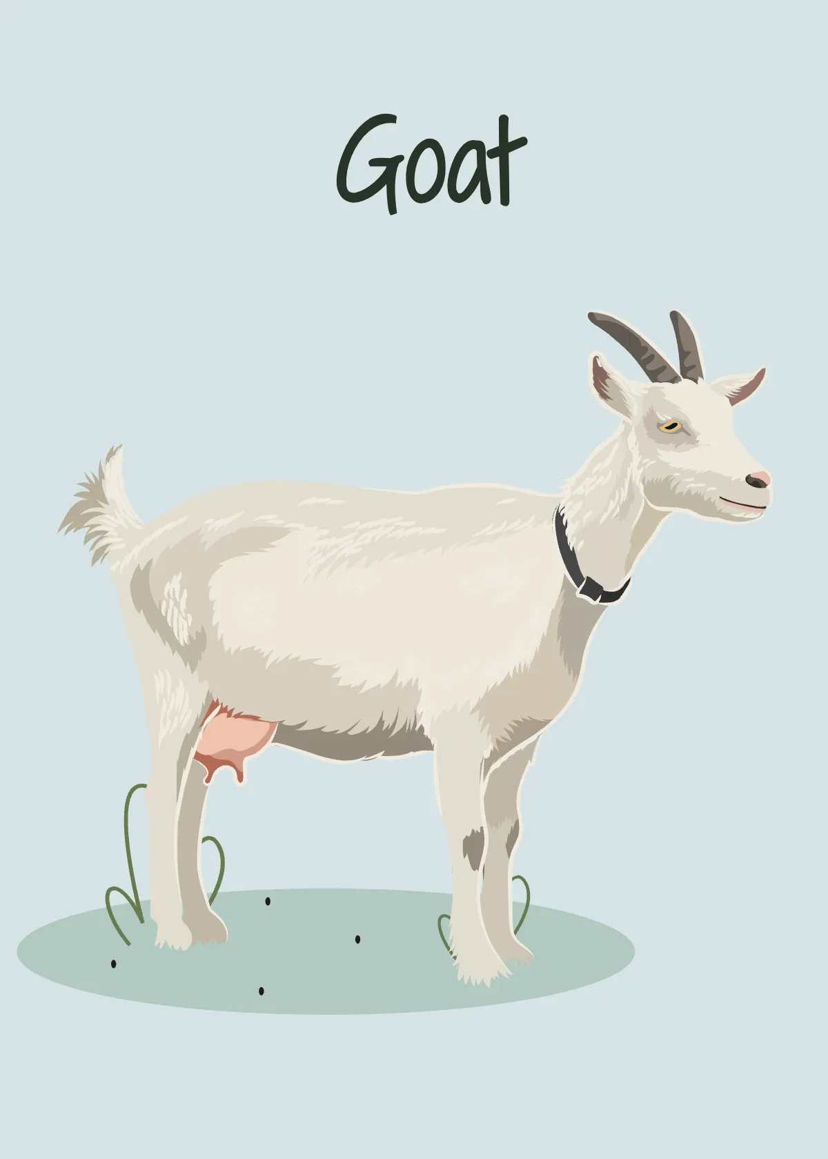 Free Animal Flashcards Template to Edit Online