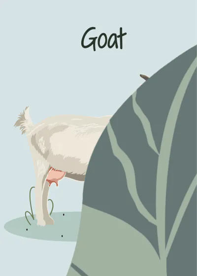 Free Animal Flashcards Template to Edit Online