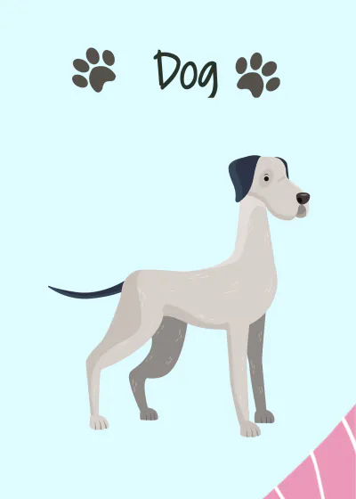 Free Animal Flashcards Template to Edit Online