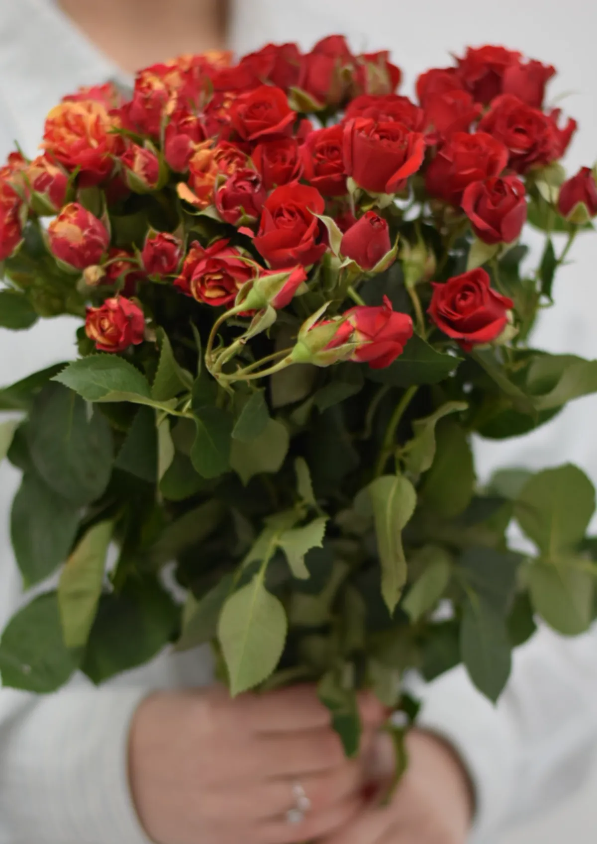 Free Floral Magnet Template to Edit Online