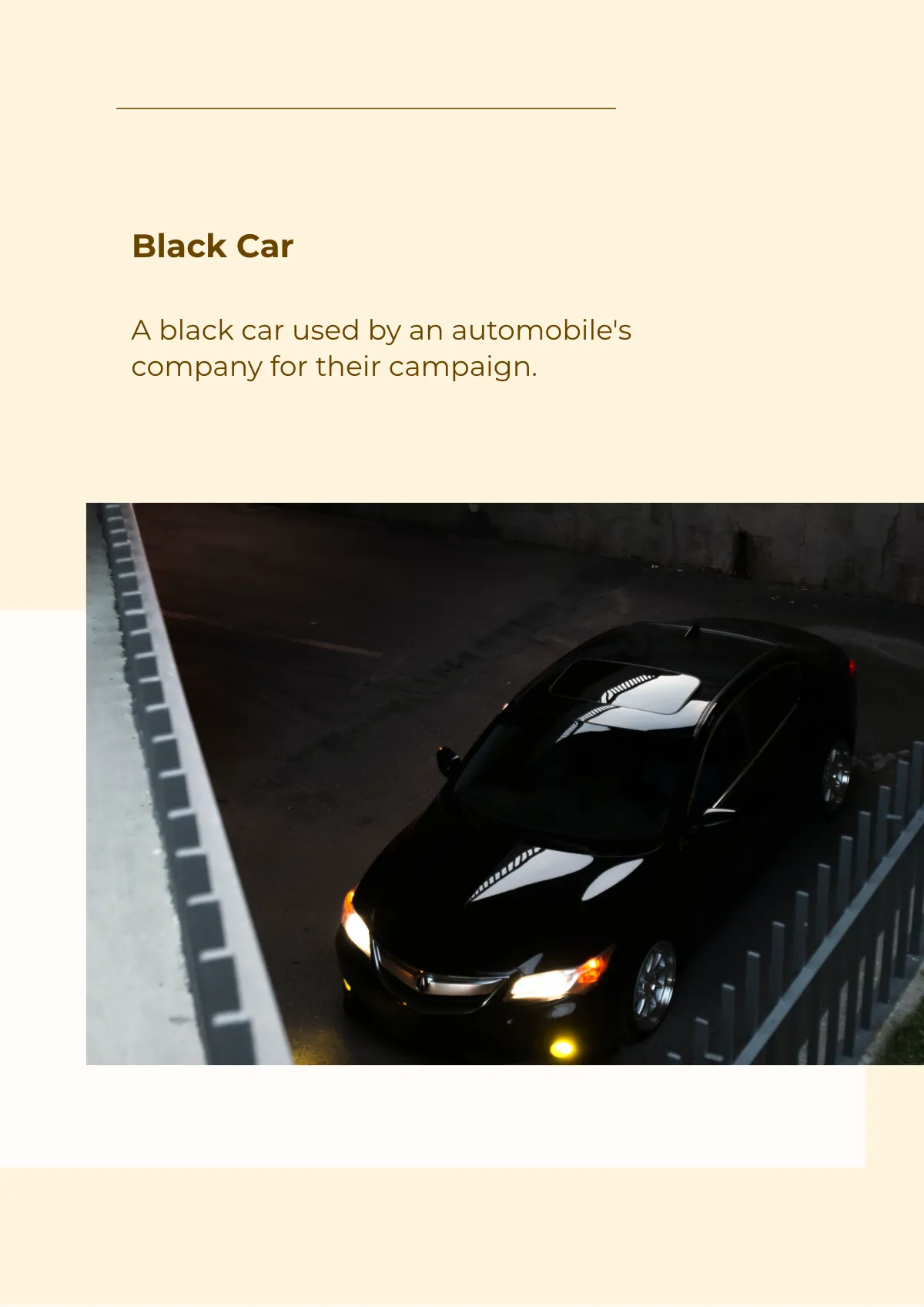 Free Campaign Magnet Template to Edit Online