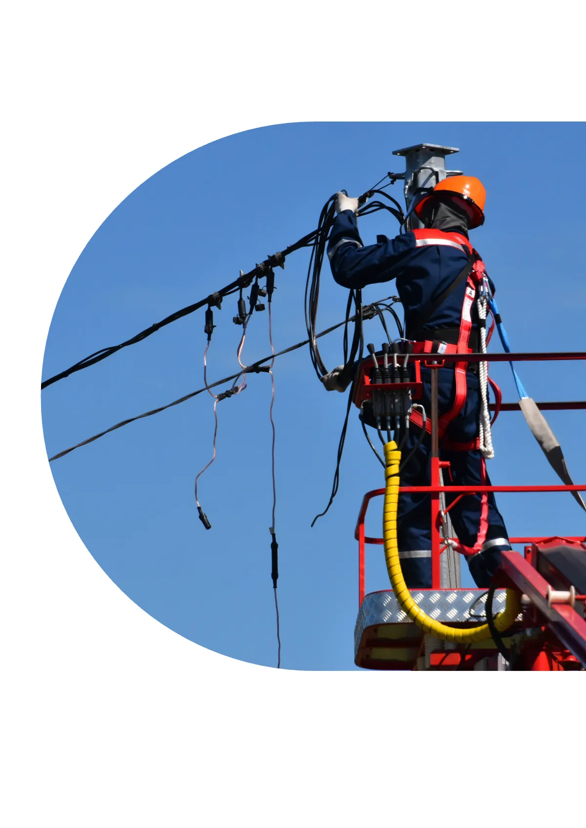 Free Electrician Magnet Template to Edit Online