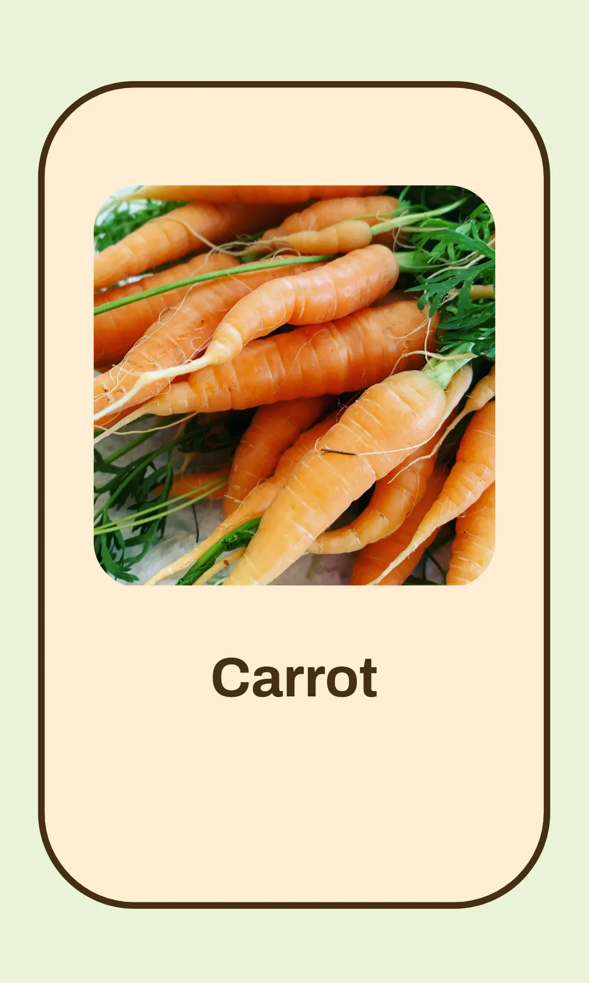 Free Alphabet Flashcards Template to Edit Online