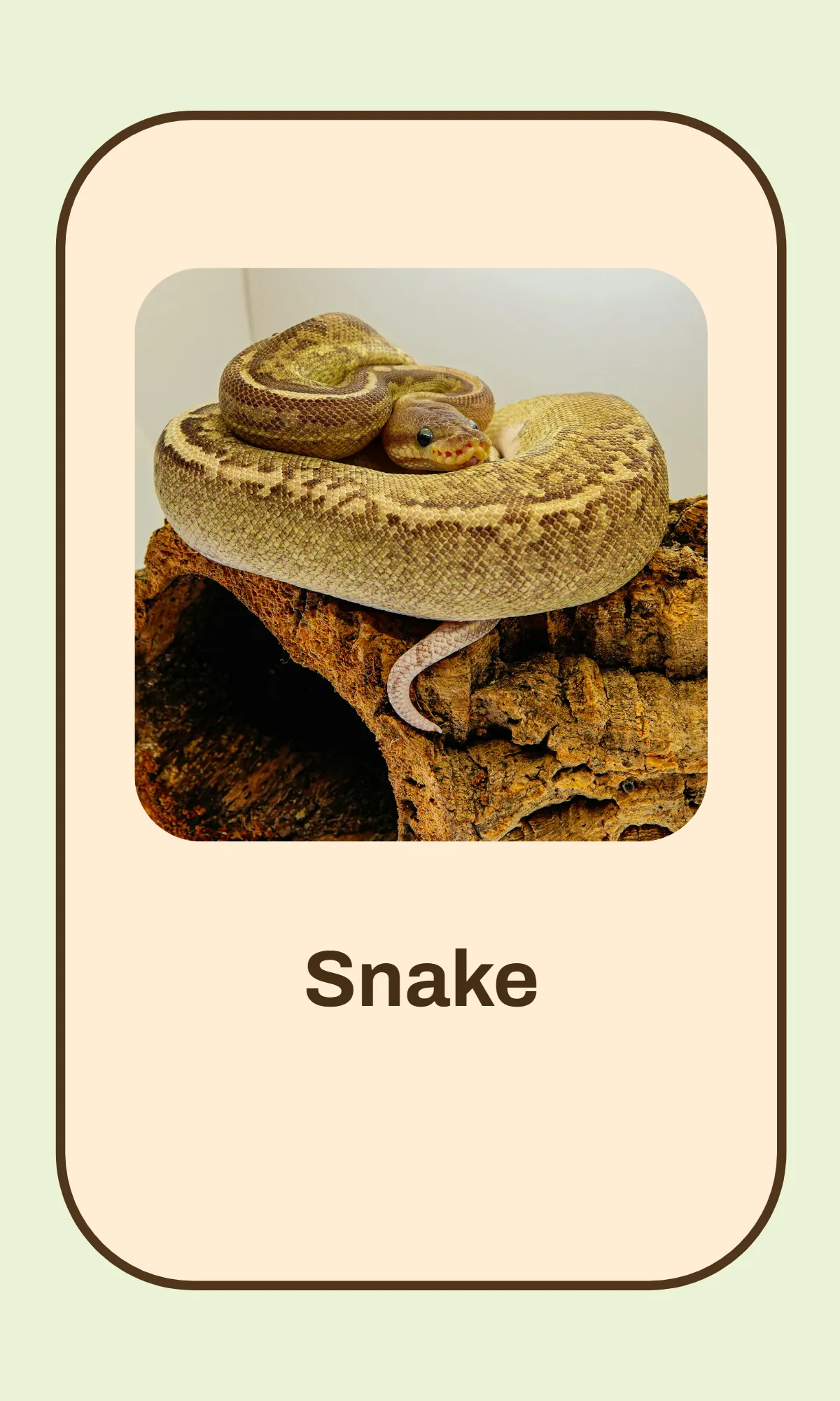 Free Alphabet Flashcards Template to Edit Online