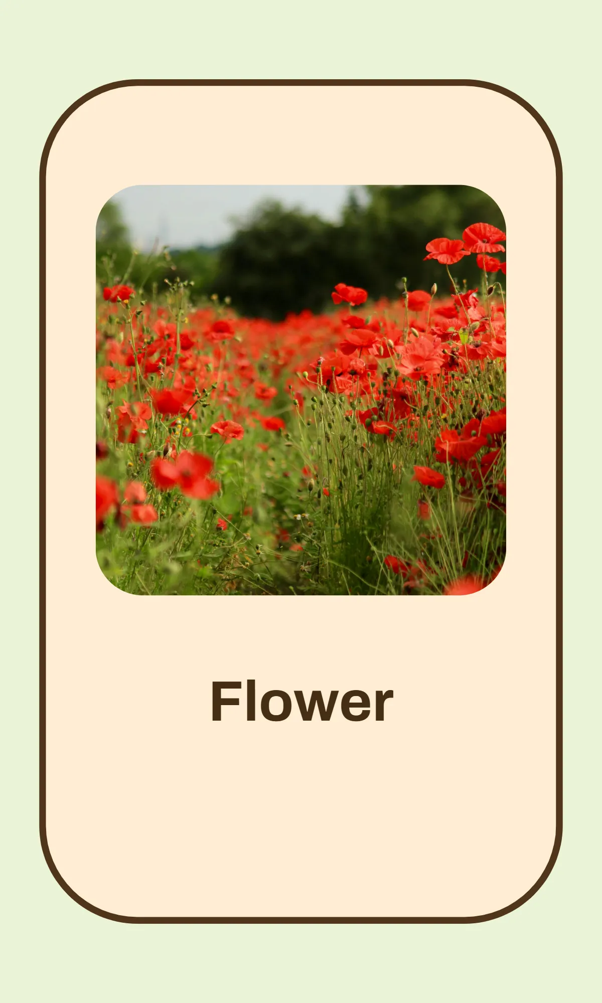 Free Alphabet Flashcards Template to Edit Online