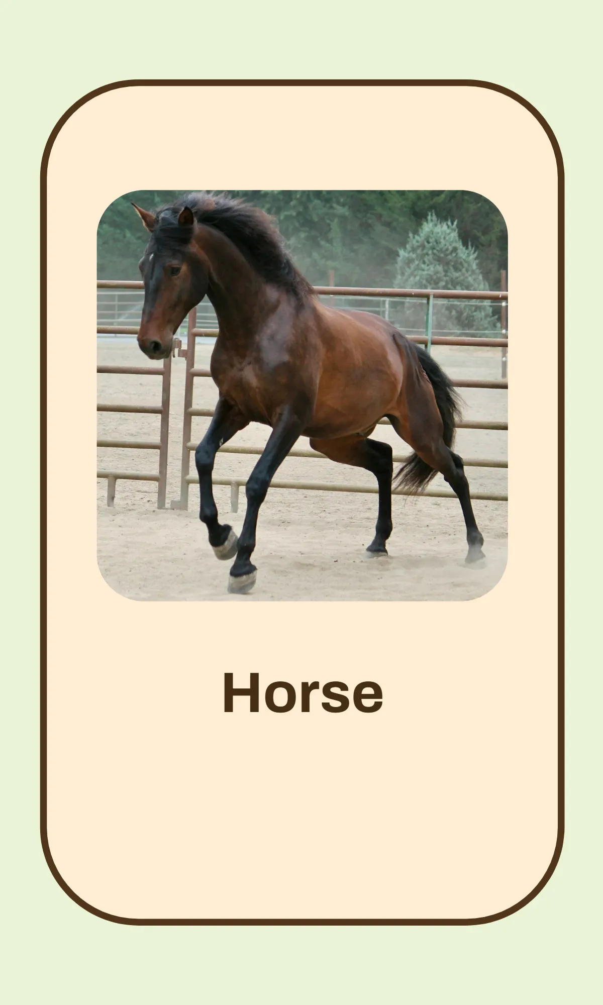 Free Alphabet Flashcards Template to Edit Online