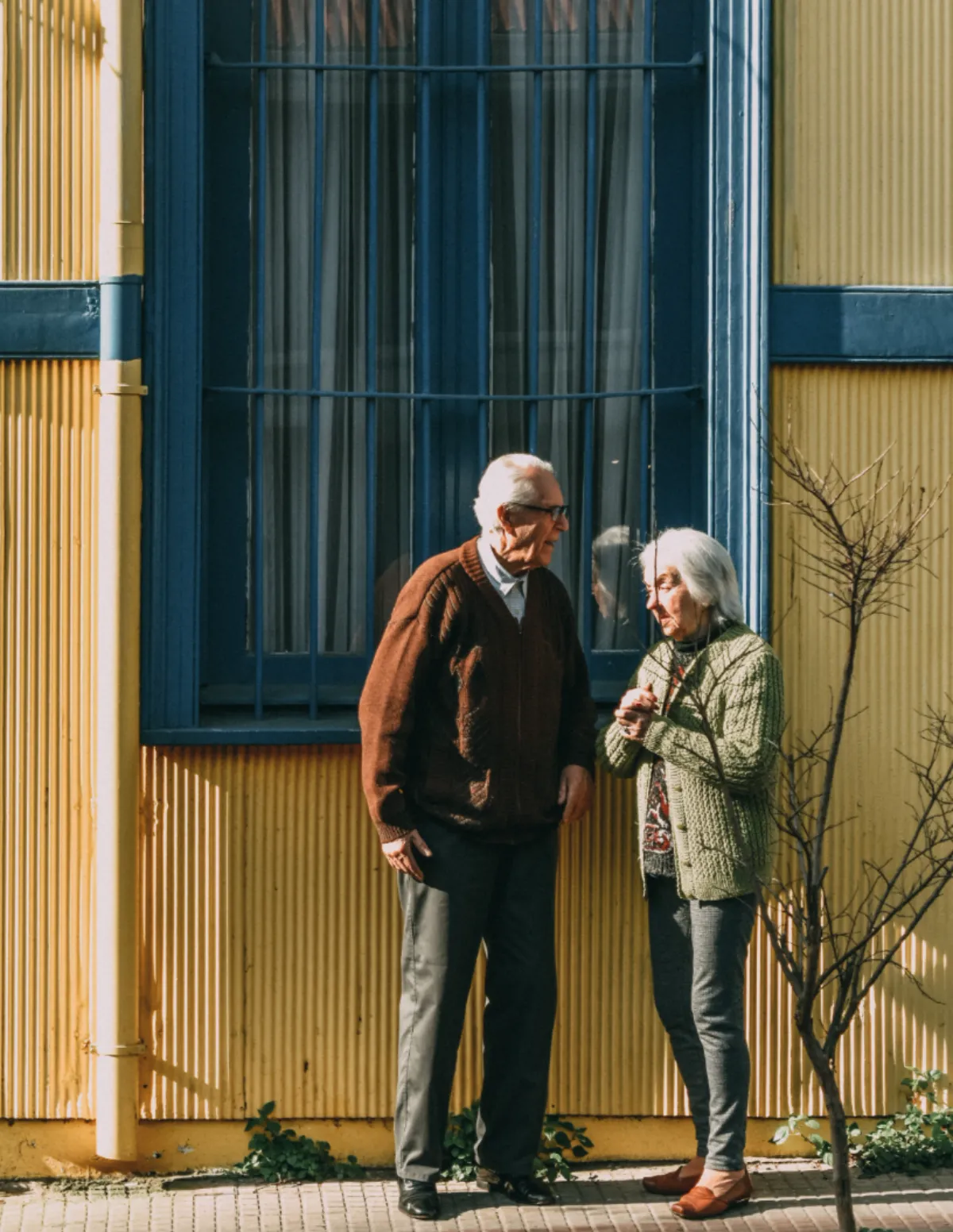 Free Family History Photo Book Template to Edit Online