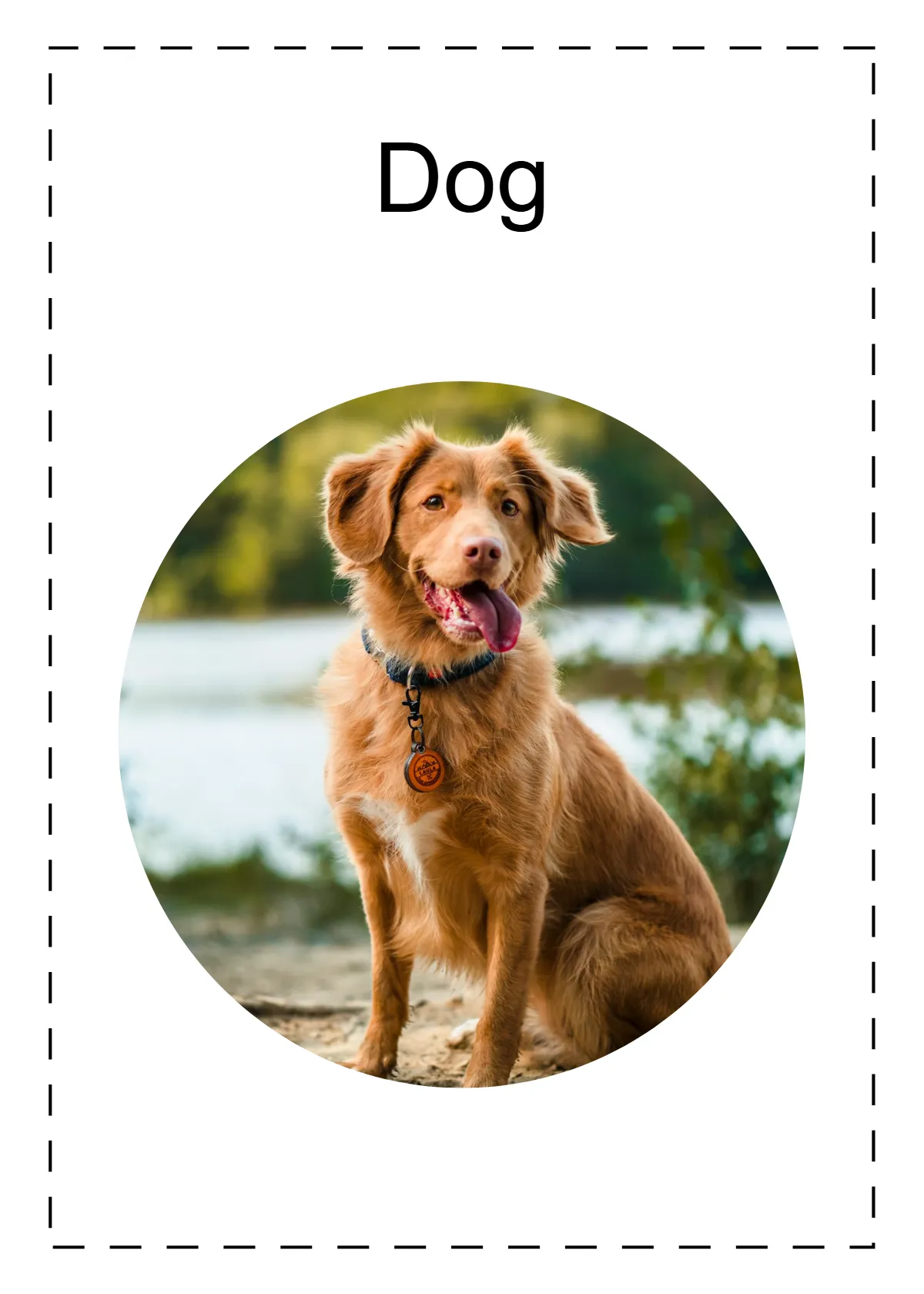 Free Words Flashcards Template to Edit Online