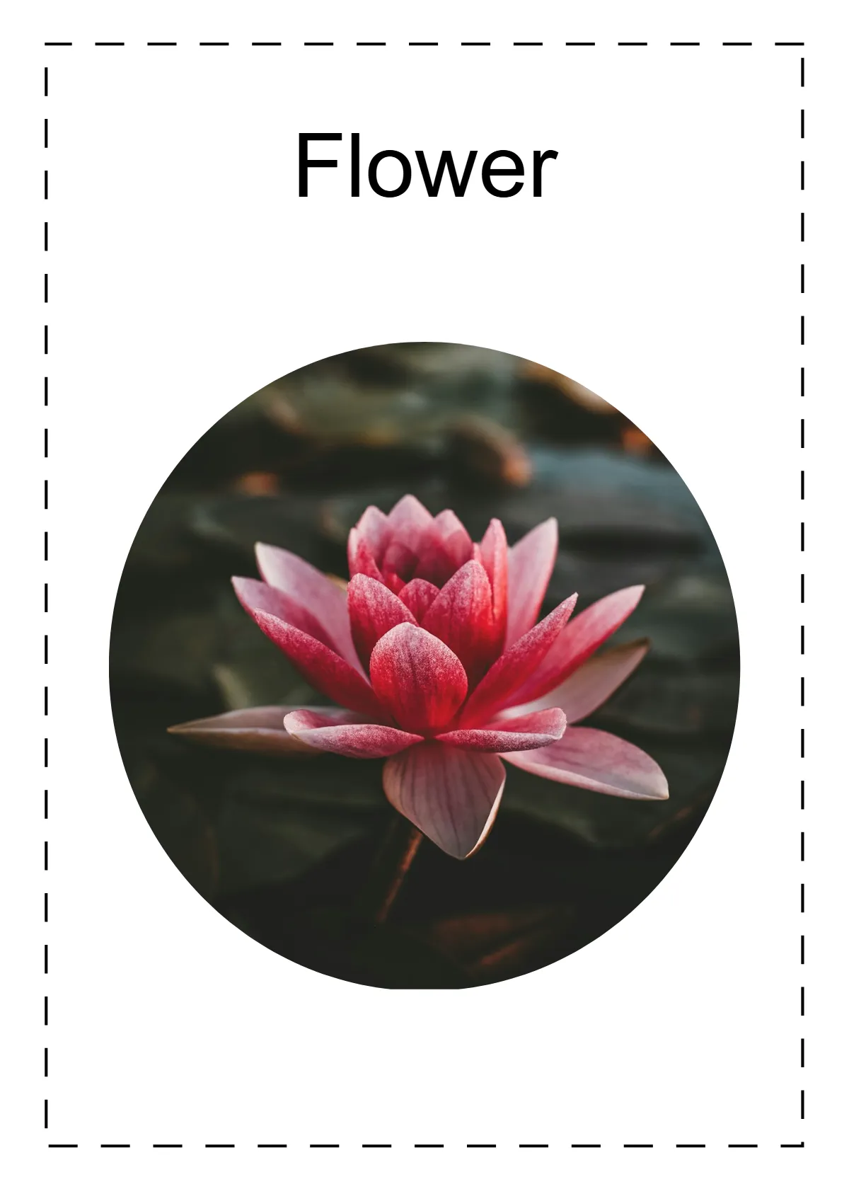 Free Words Flashcards Template to Edit Online