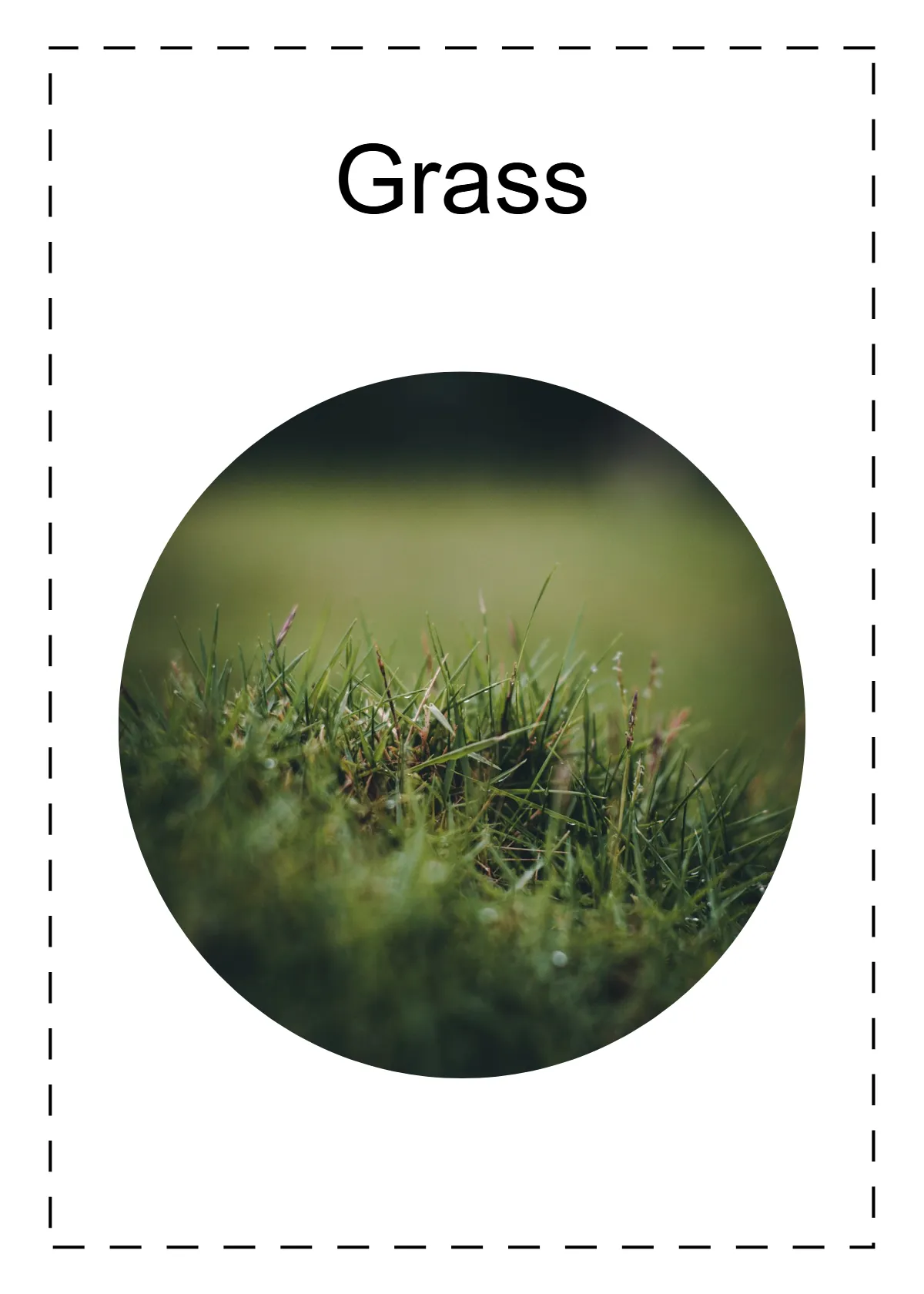 Free Words Flashcards Template to Edit Online