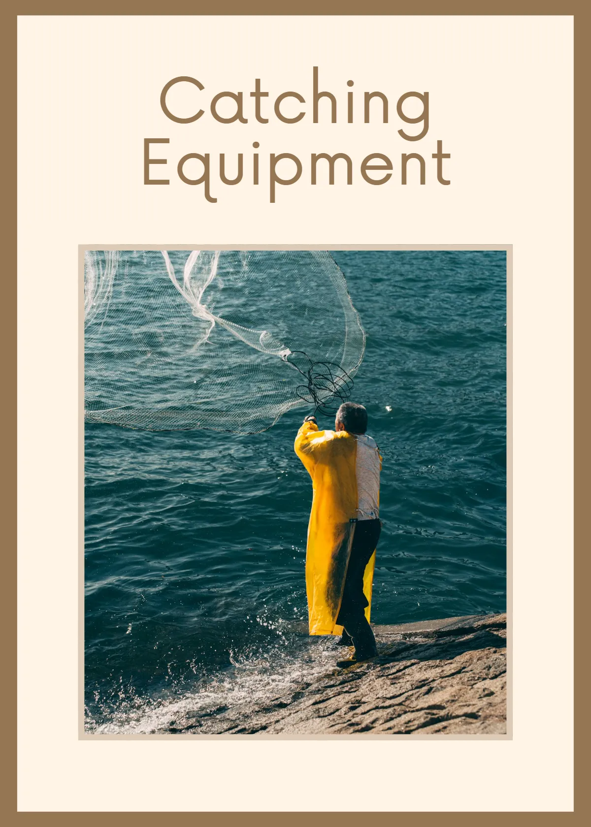 Free Veterinary Flashcards Template to Edit Online