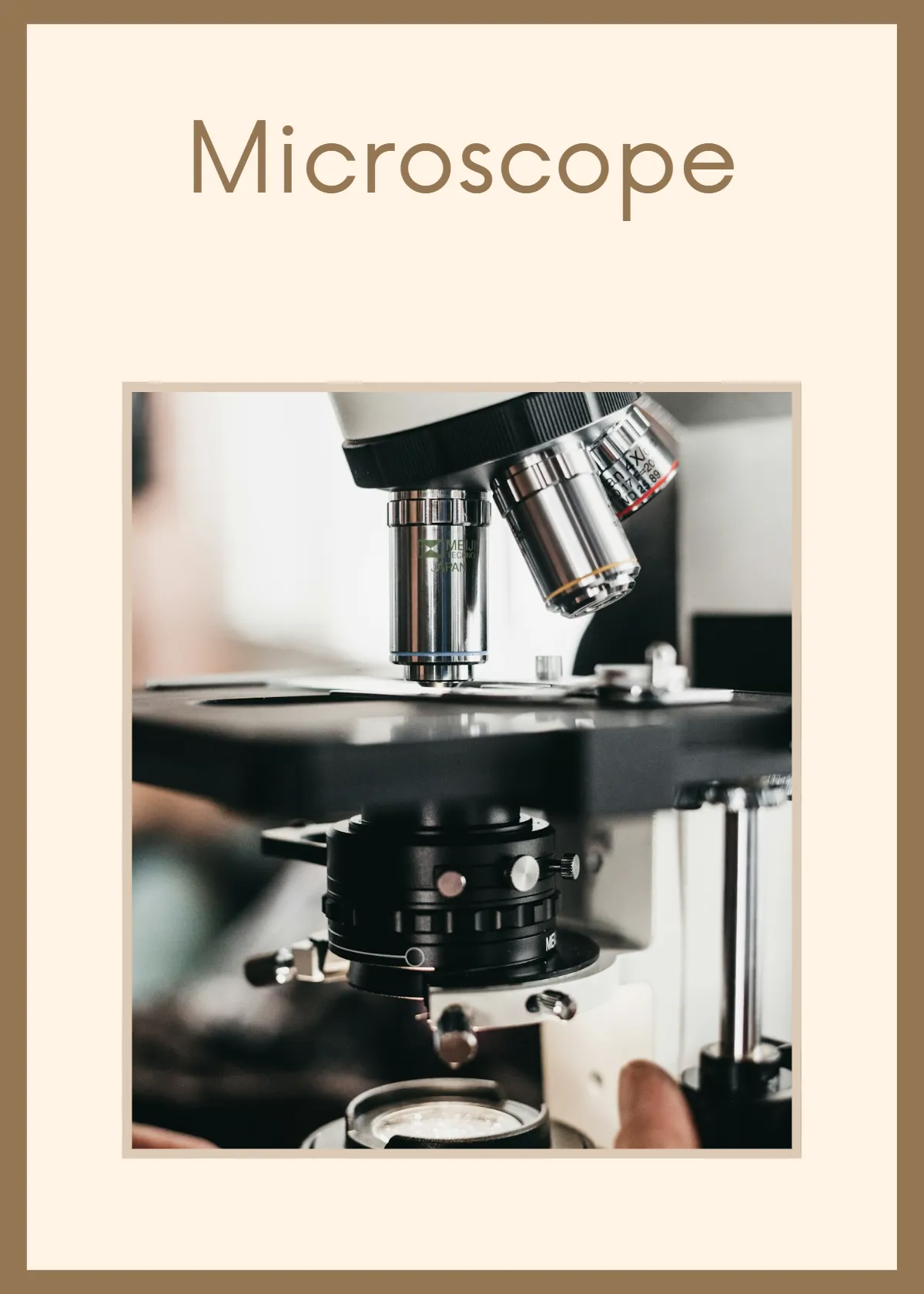 Free Veterinary Flashcards Template to Edit Online