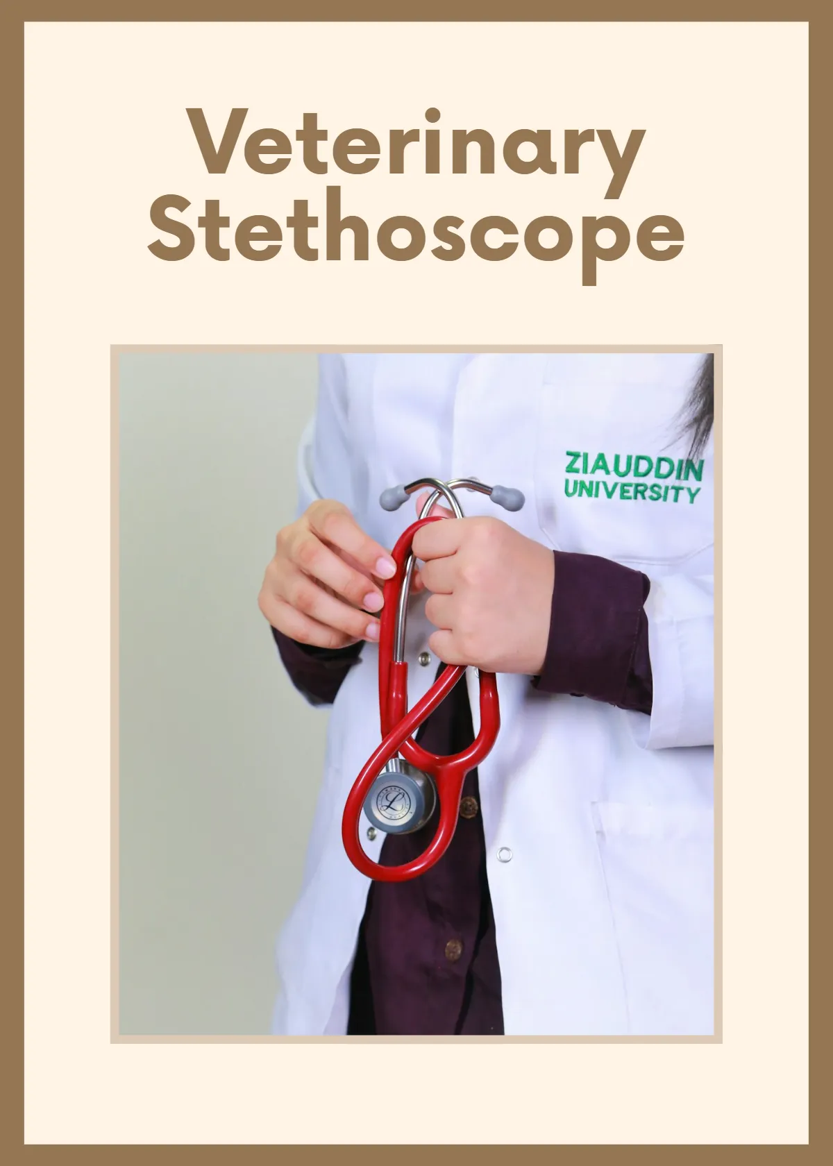 Free Veterinary Flashcards Template to Edit Online