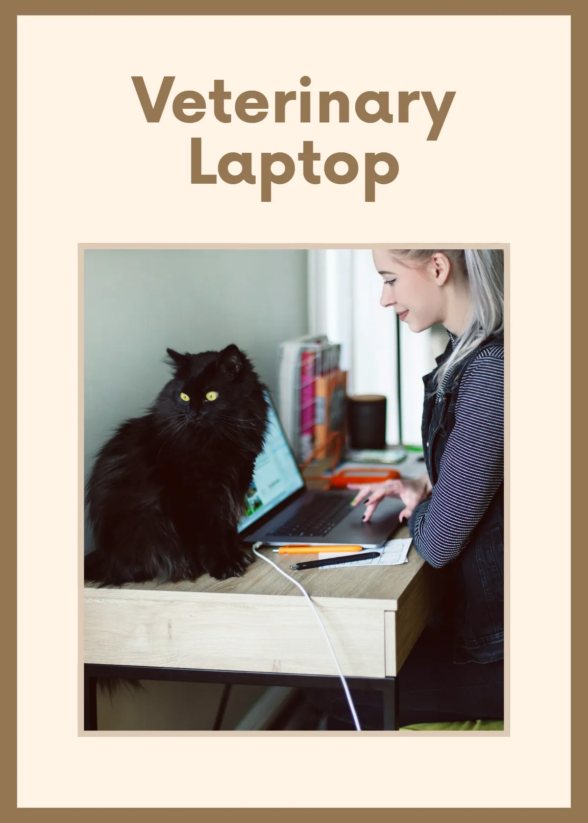 Free Veterinary Flashcards Template to Edit Online