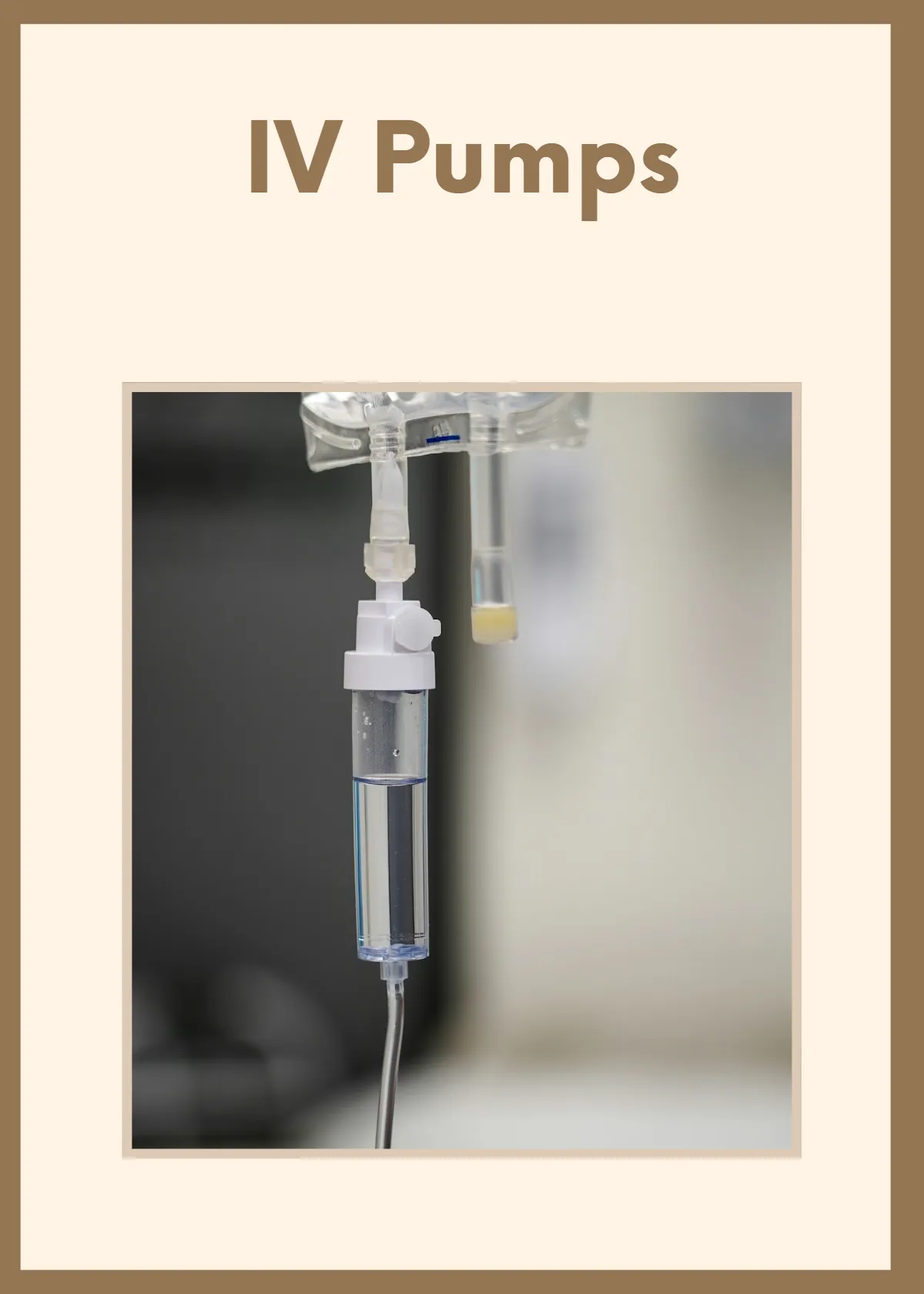 Free Veterinary Flashcards Template to Edit Online