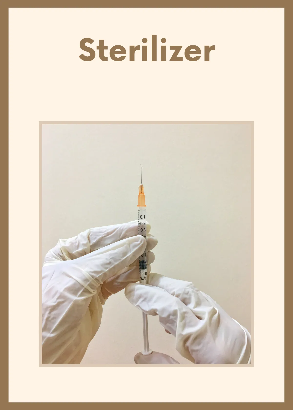 Free Veterinary Flashcards Template to Edit Online