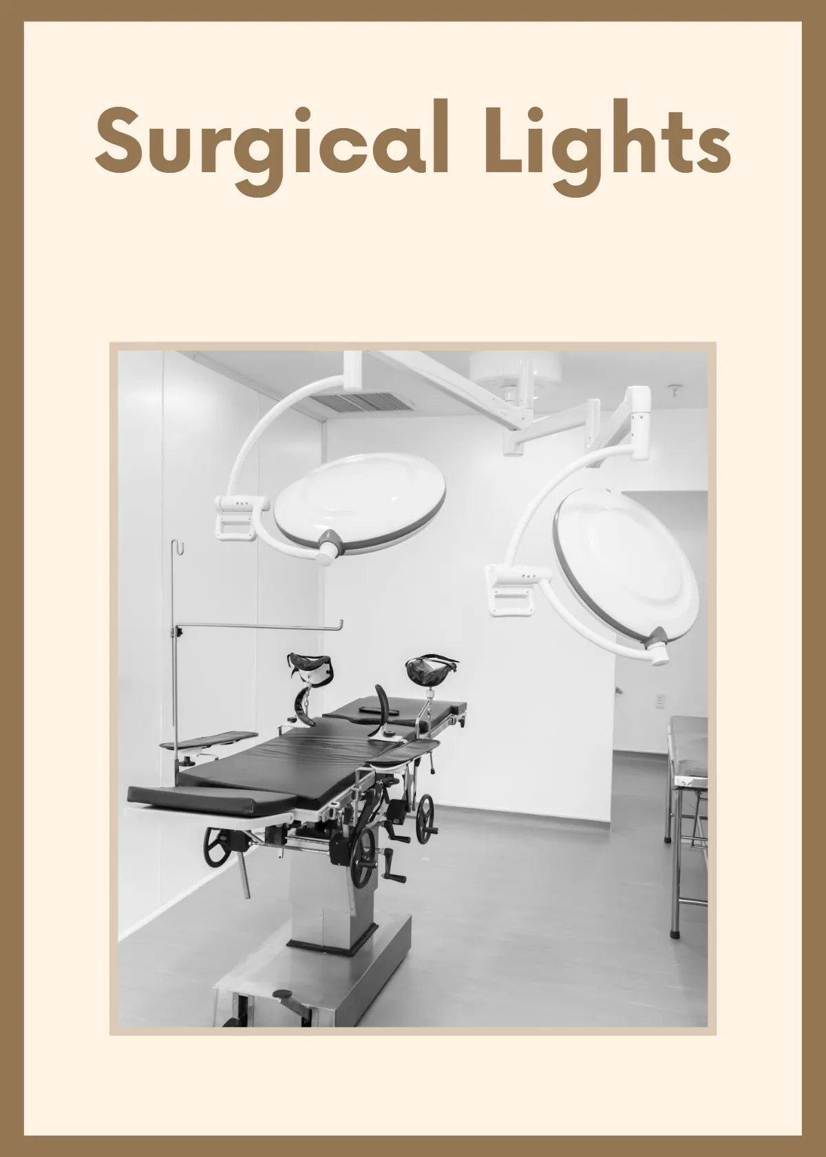 Free Veterinary Flashcards Template to Edit Online