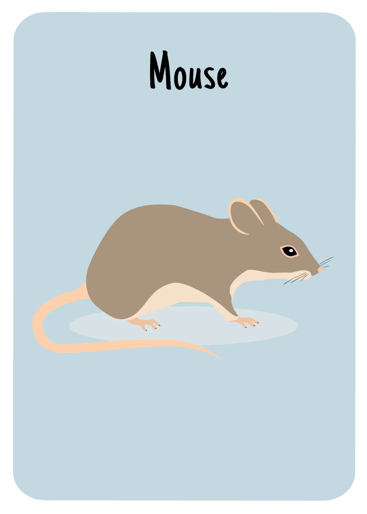 Free Flashcards for Kids Template to Edit Online