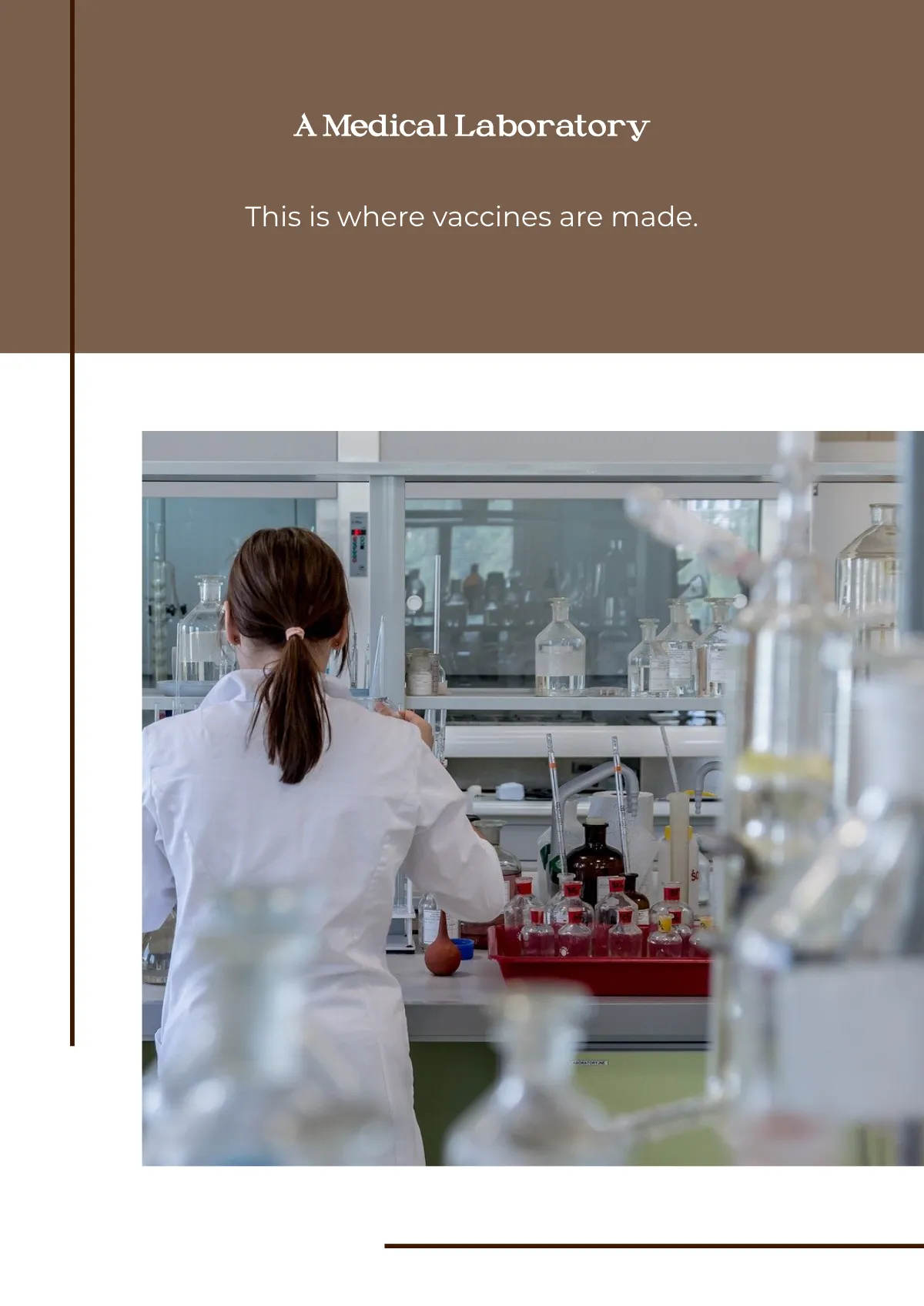 Free Vaccine Magnet Template to Edit Online