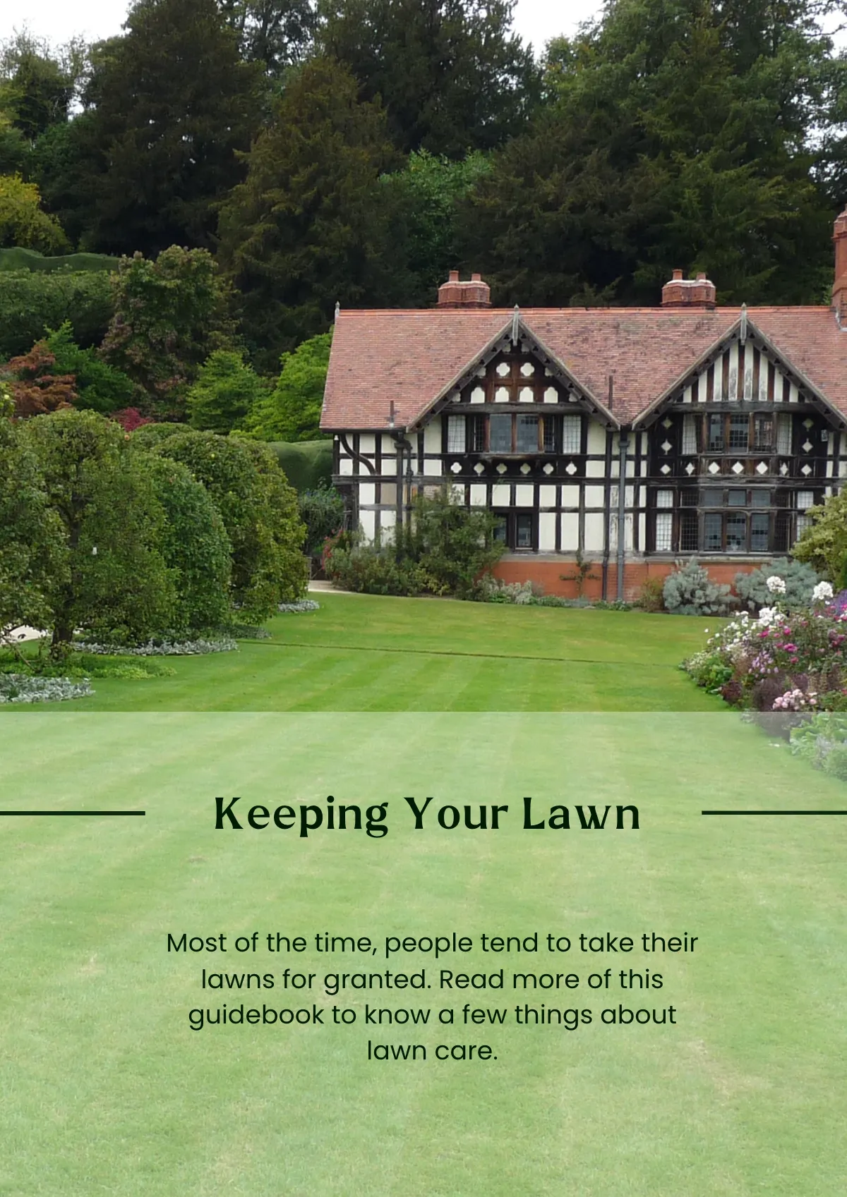 Free Lawn Care Magnet Template to Edit Online
