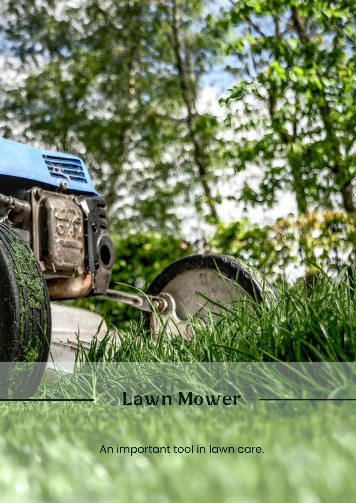 Free Lawn Care Magnet Template to Edit Online