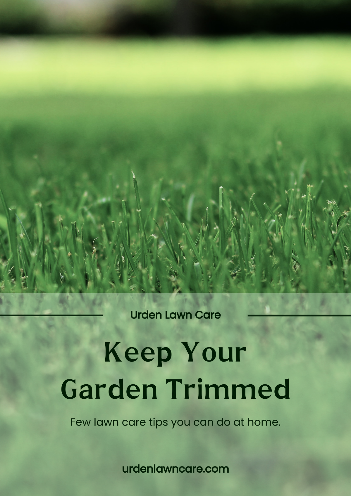 Lawn Care Magnet Template