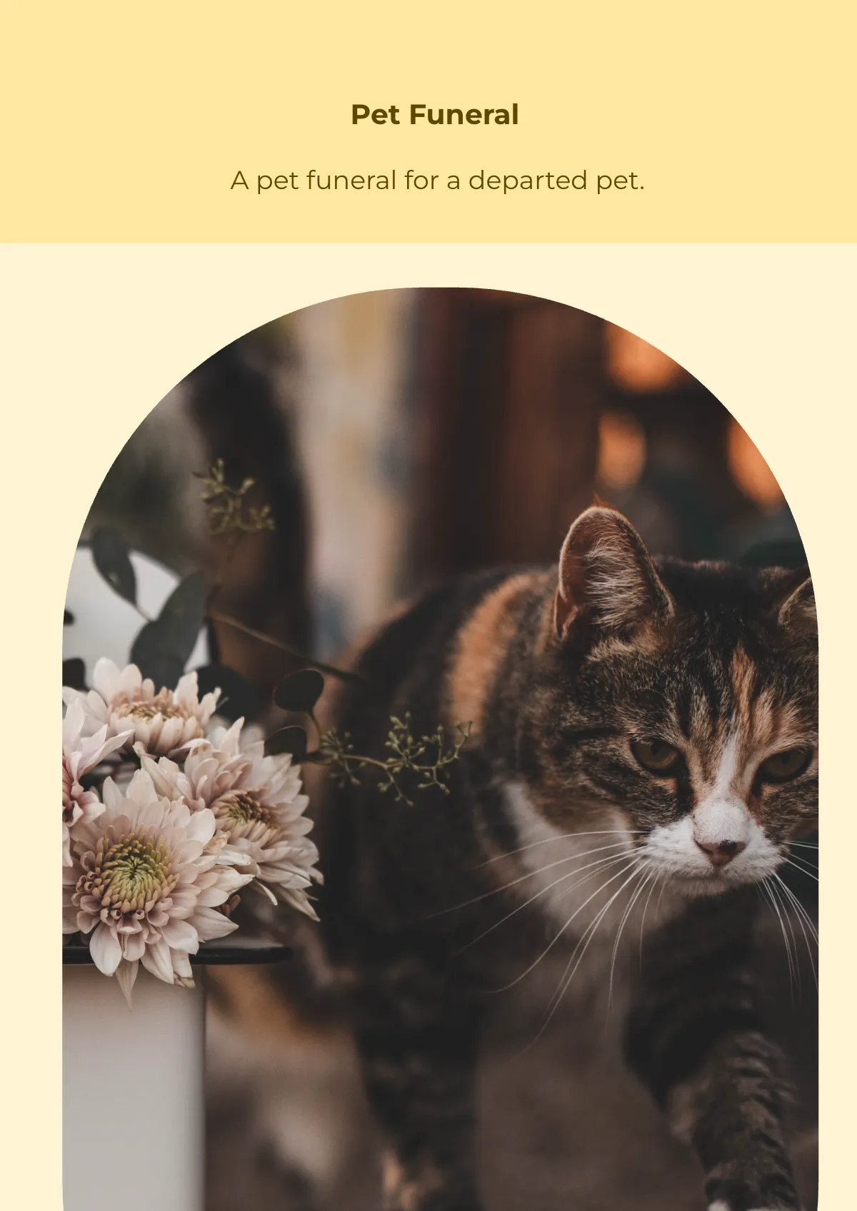 Free Pet Memorial Photo Magnet Template to Edit Online