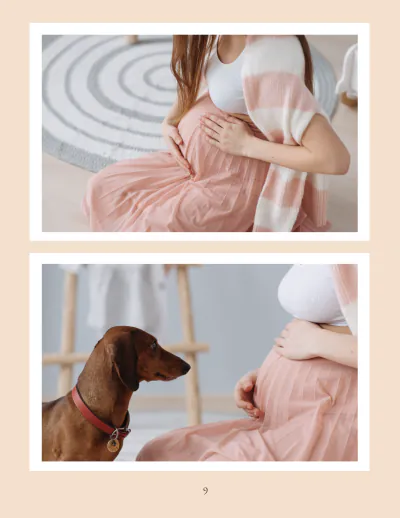 Free Pregnancy Photo Book Template to Edit Online