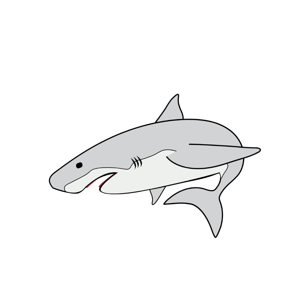 White Shark Vector Template