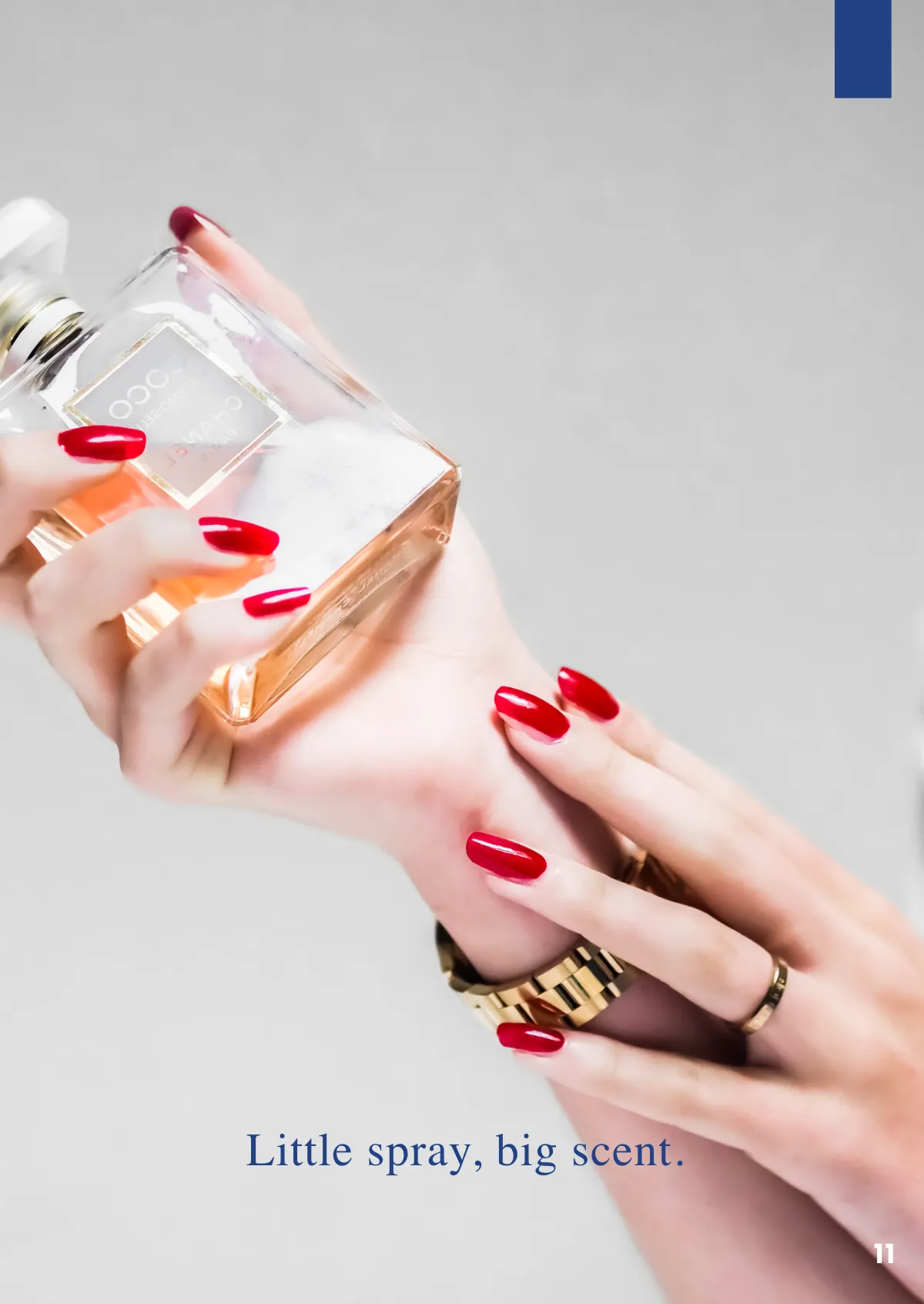 Free Professional Booklet Template to Edit Online