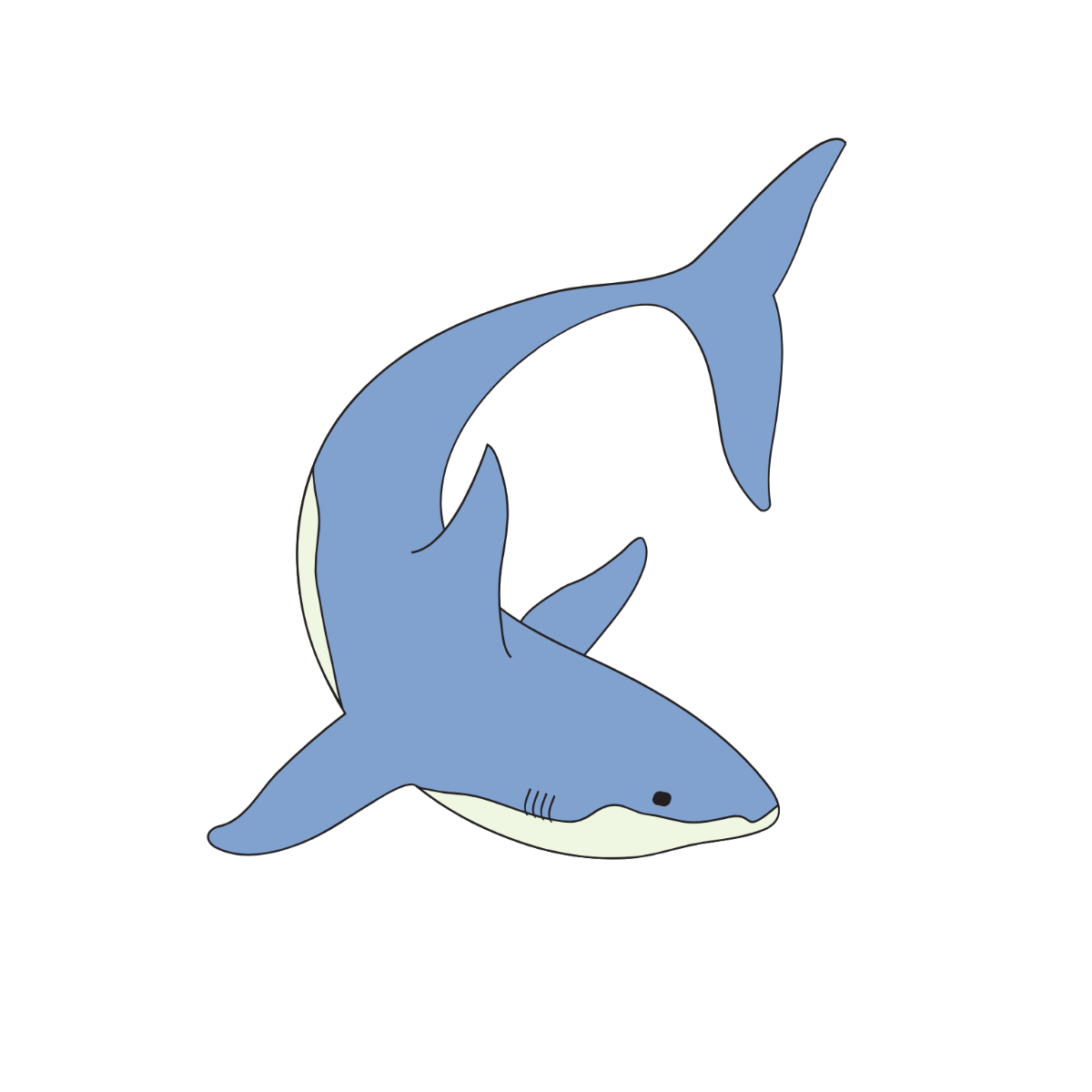 Ocean Shark Vector Template