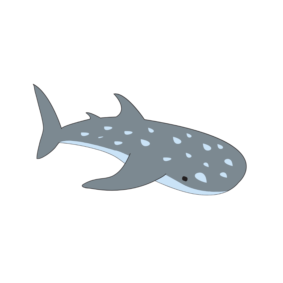 Whale Shark Vector Template