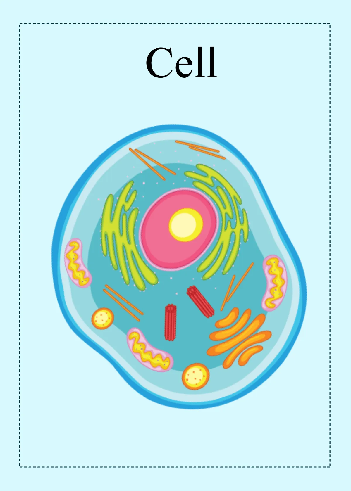 Free Science Flashcard Template to Edit Online