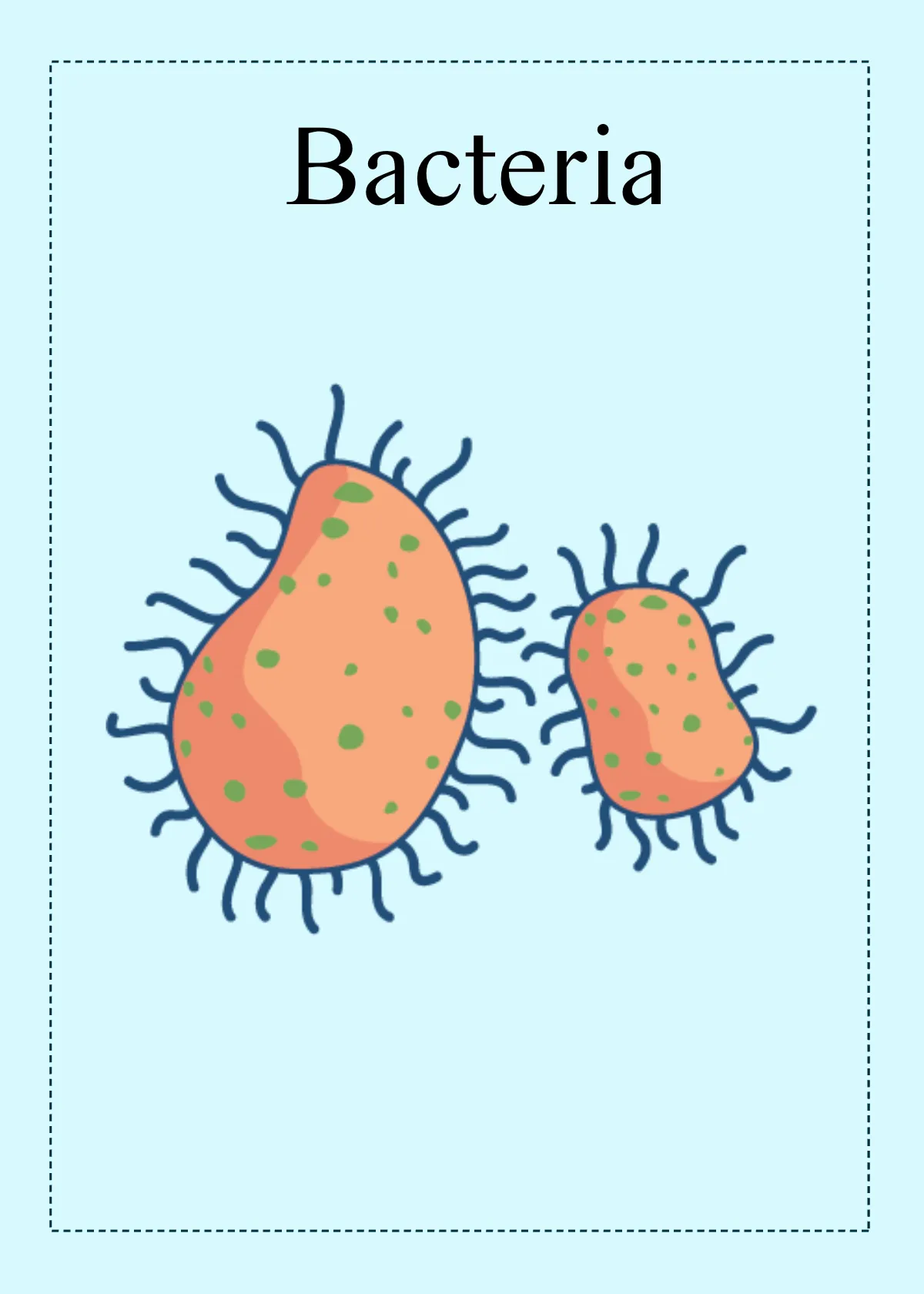 Free Science Flashcard Template to Edit Online