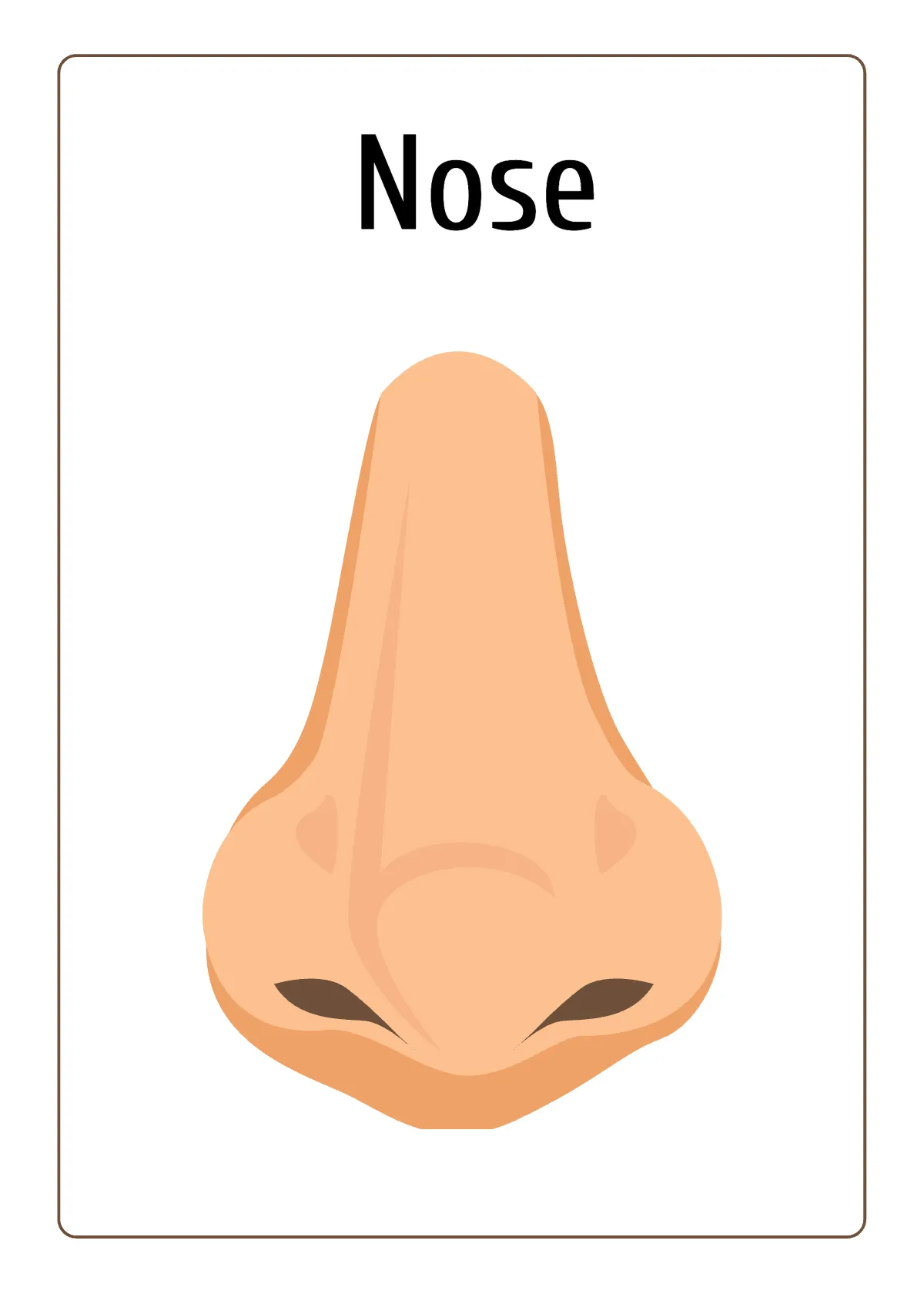 Free Body Parts Flashcards Template to Edit Online