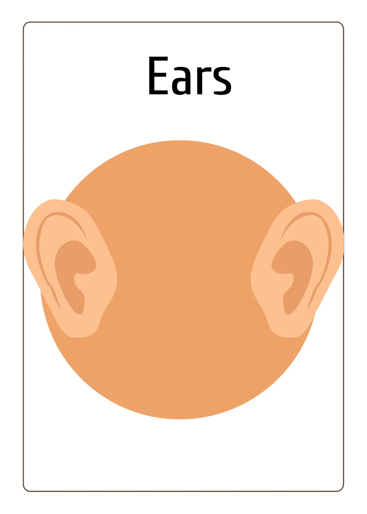 Free Body Parts Flashcards Template to Edit Online