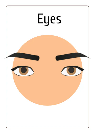 Free Body Parts Flashcards Template to Edit Online