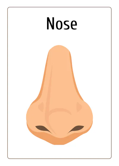 Free Body Parts Flashcards Template to Edit Online