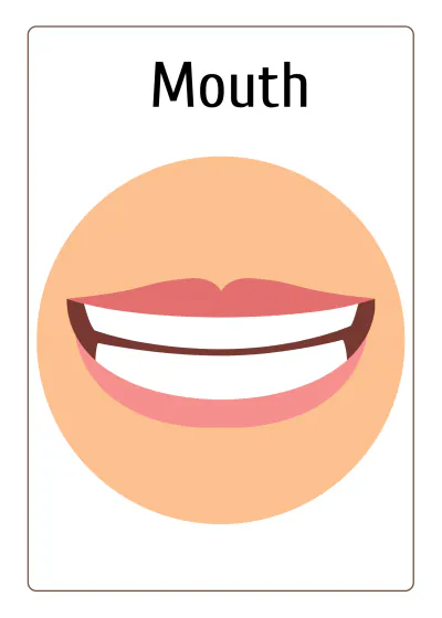 Free Body Parts Flashcards Template to Edit Online