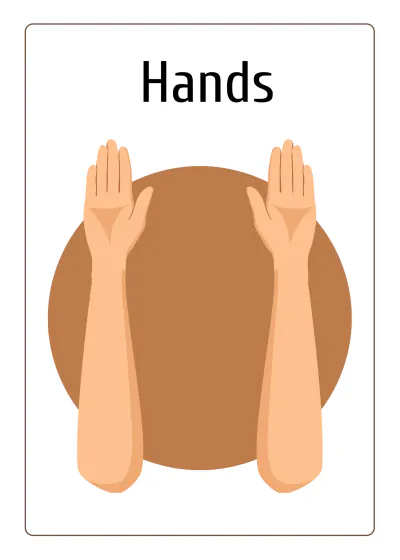 Free Body Parts Flashcards Template to Edit Online