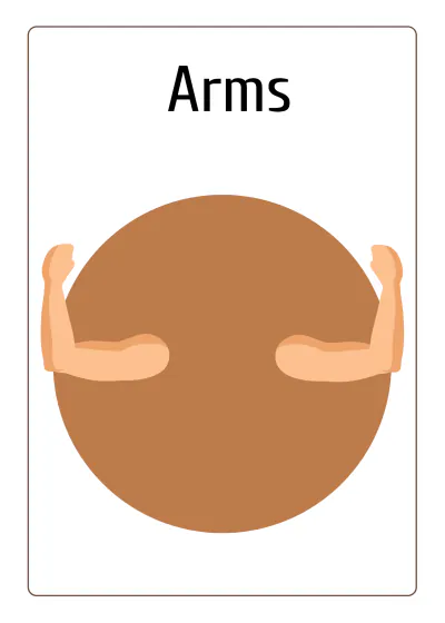 Free Body Parts Flashcards Template to Edit Online