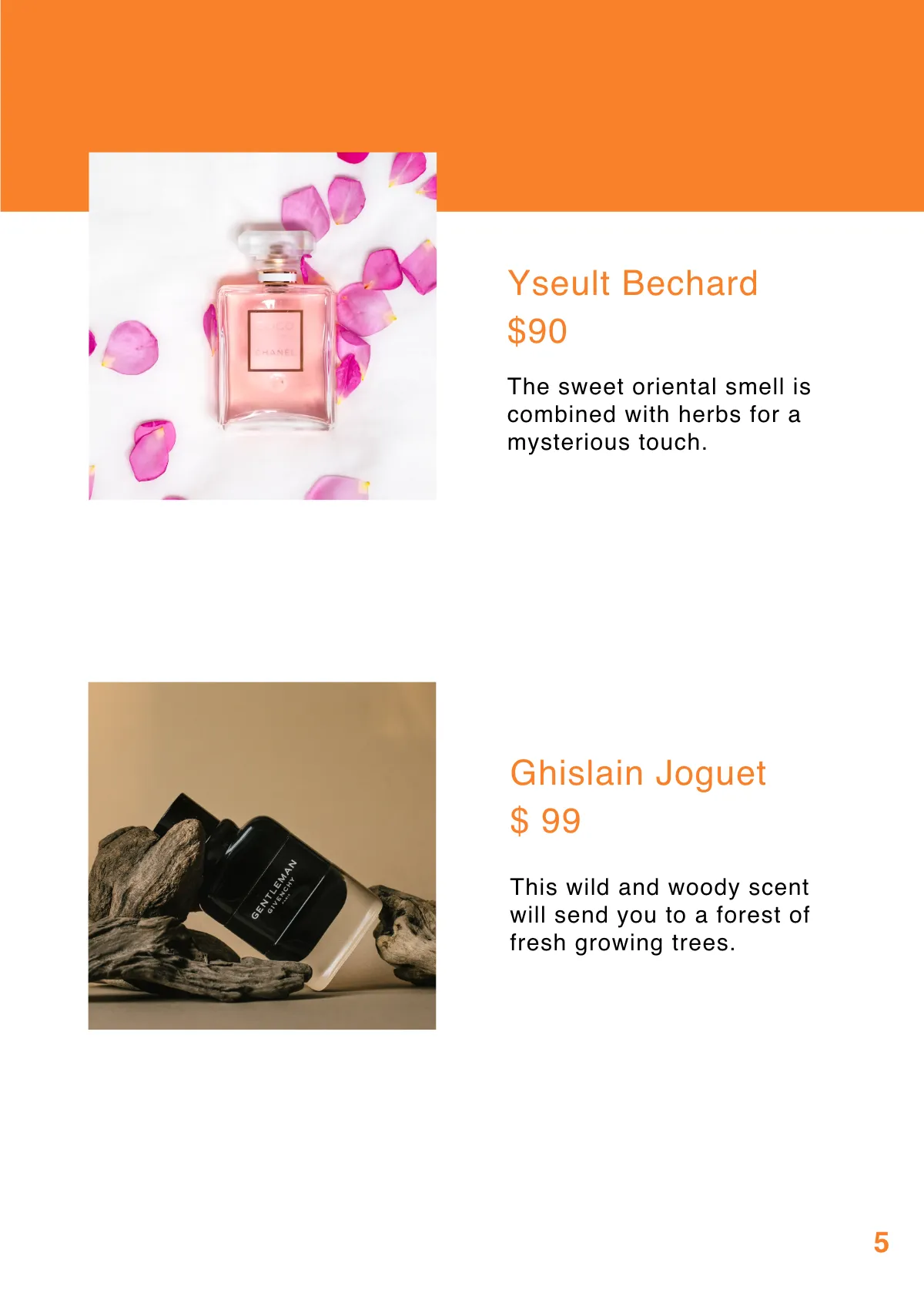 Free Simple Booklet Template to Edit Online