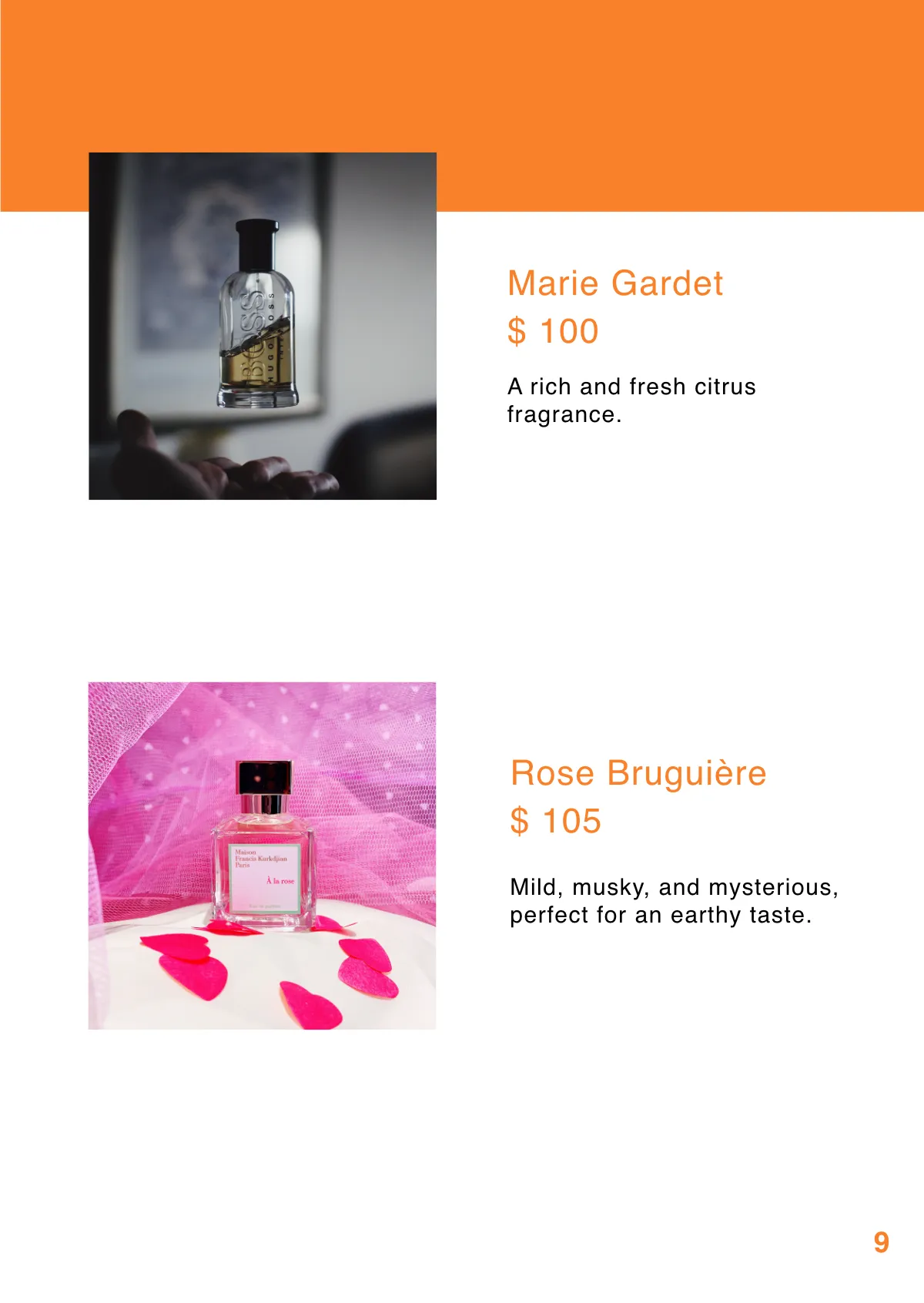 Free Simple Booklet Template to Edit Online