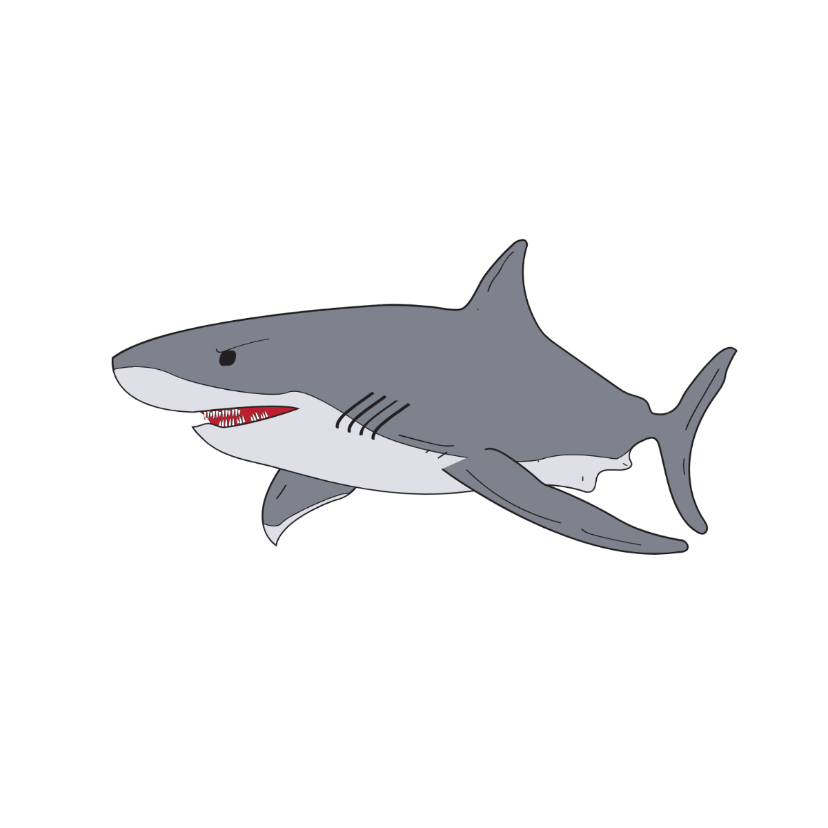 Free Great White Shark Vector Template