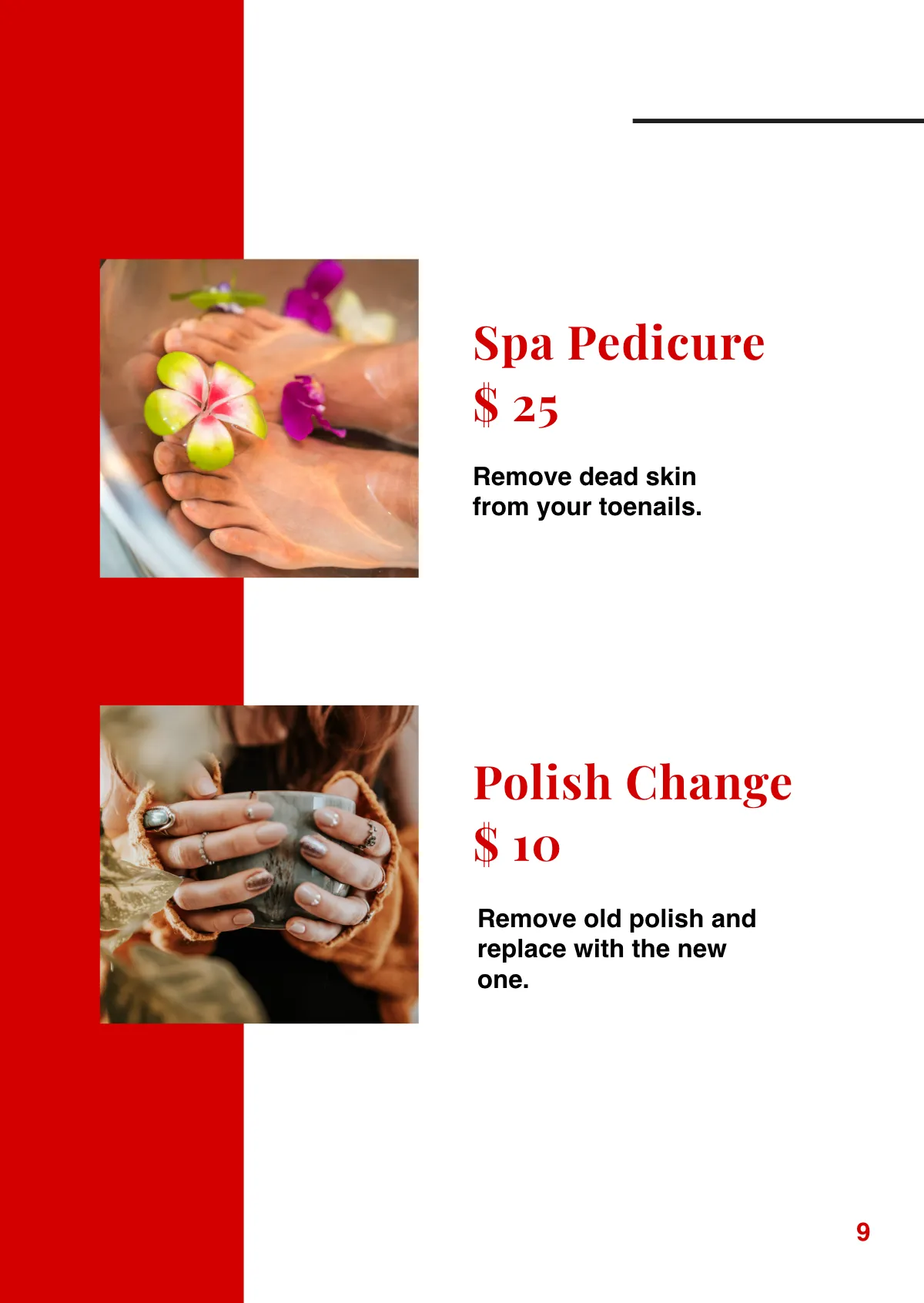 Free Information Booklet Template to Edit Online