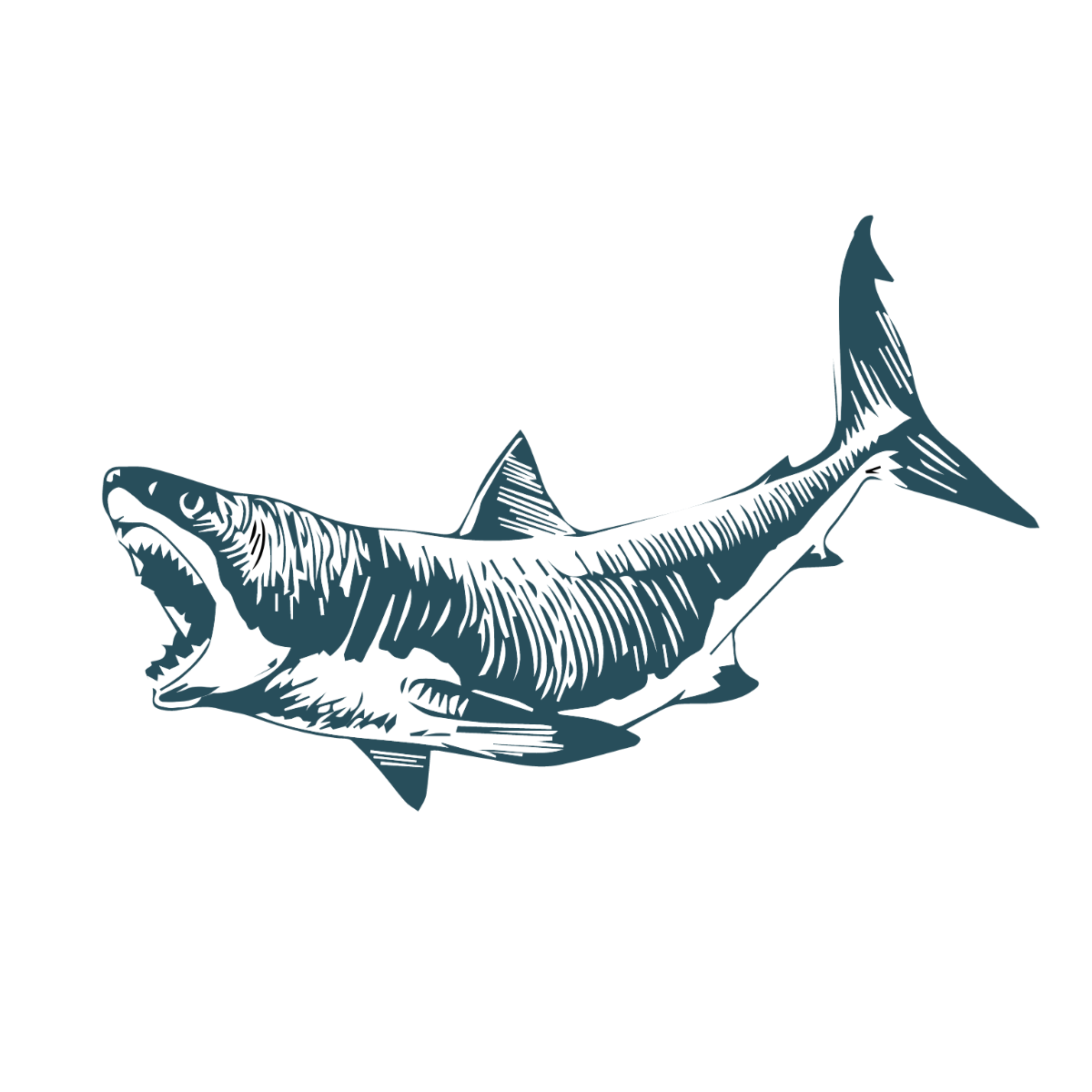 Free Vintage Shark Vector Template