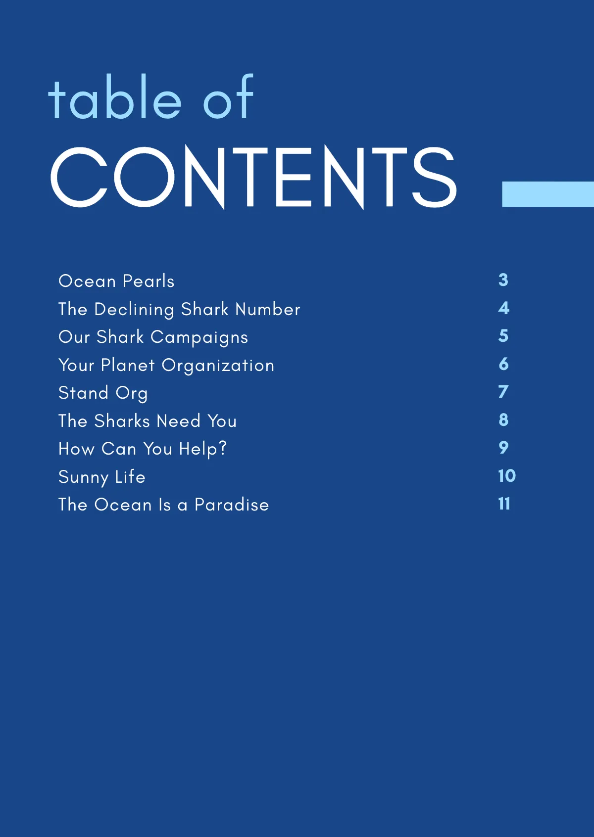 Free Nonprofit Booklet Template to Edit Online