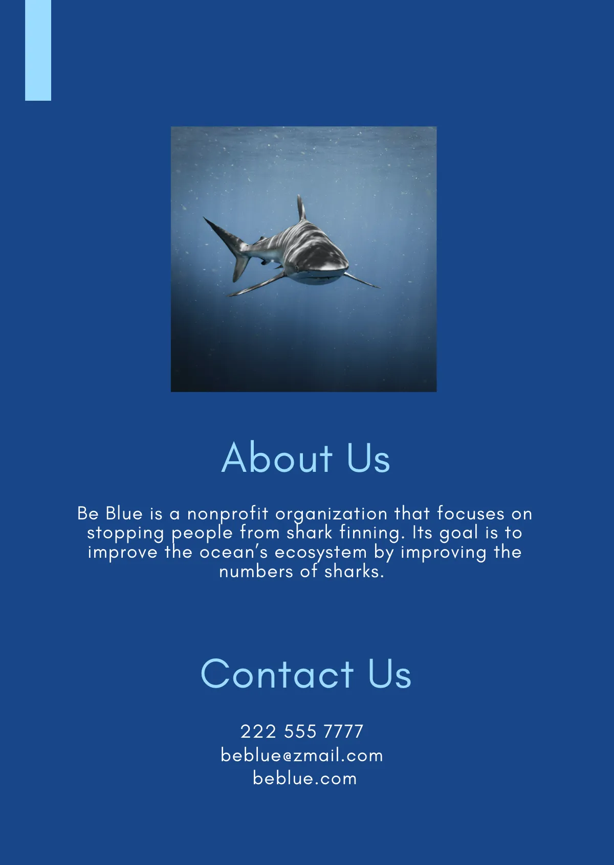 Free Nonprofit Booklet Template to Edit Online