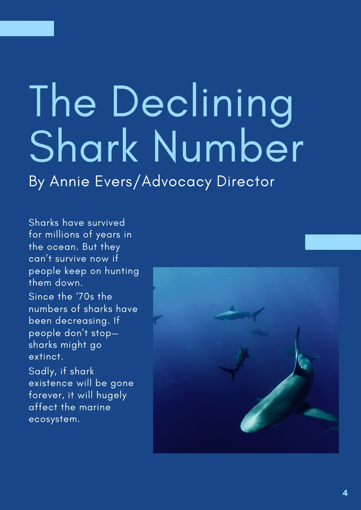 Free Nonprofit Booklet Template to Edit Online